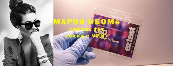 прущий лед Алзамай