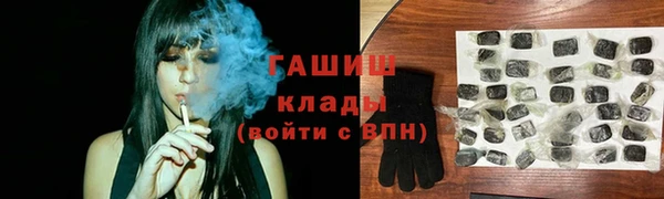 прущие грибы Медногорск